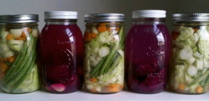 ferments